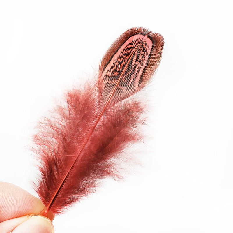 HAPPY FEATHER 100 pcs Natural Pheasant Plumage Feathers 2-3 Inches Plumage Feathers for Sewing Crafts Clothing Decorating Accessories -Red - Image 2